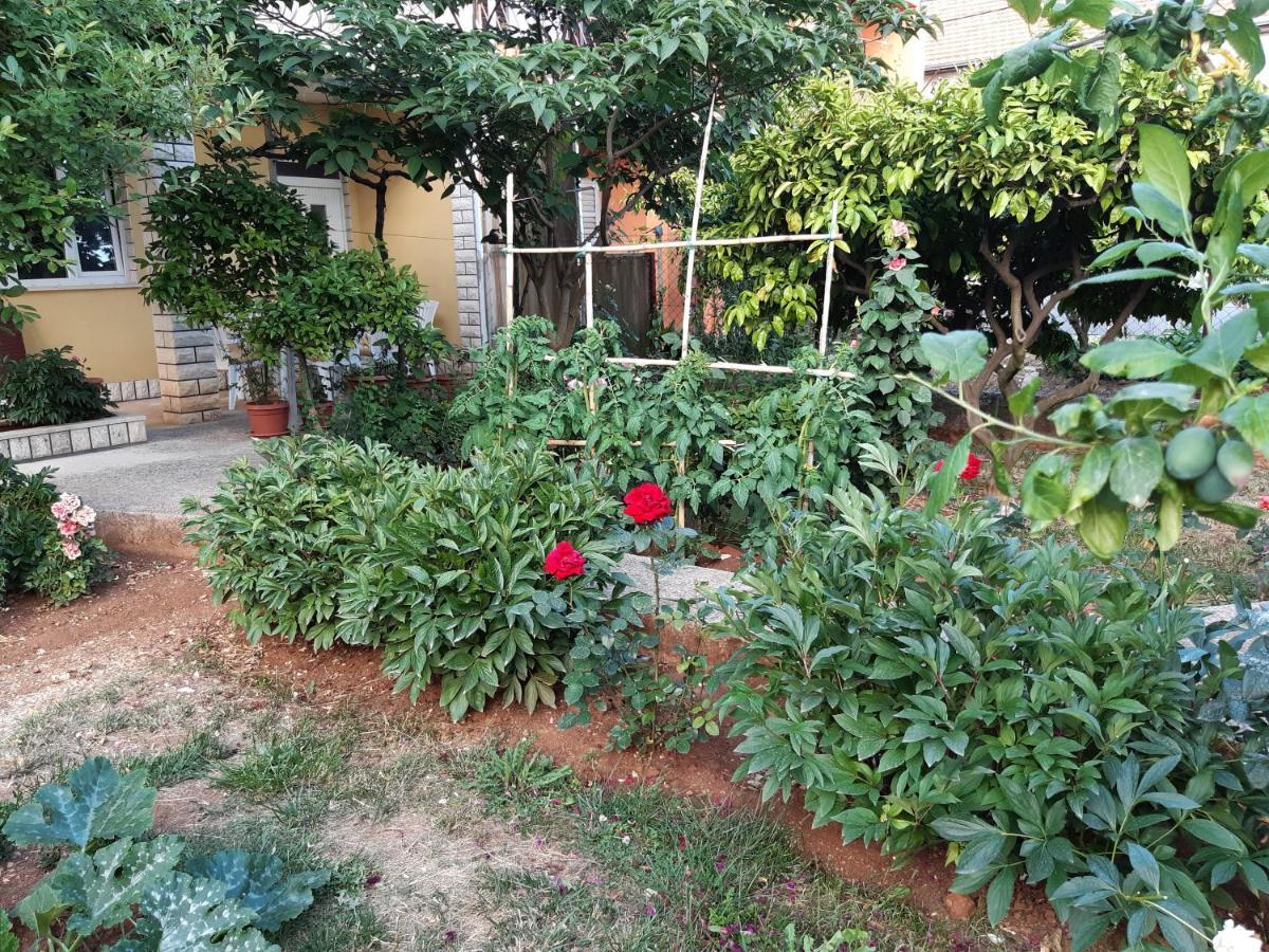 Apartment Jardin With Free Cowered Parking Zadar Bagian luar foto