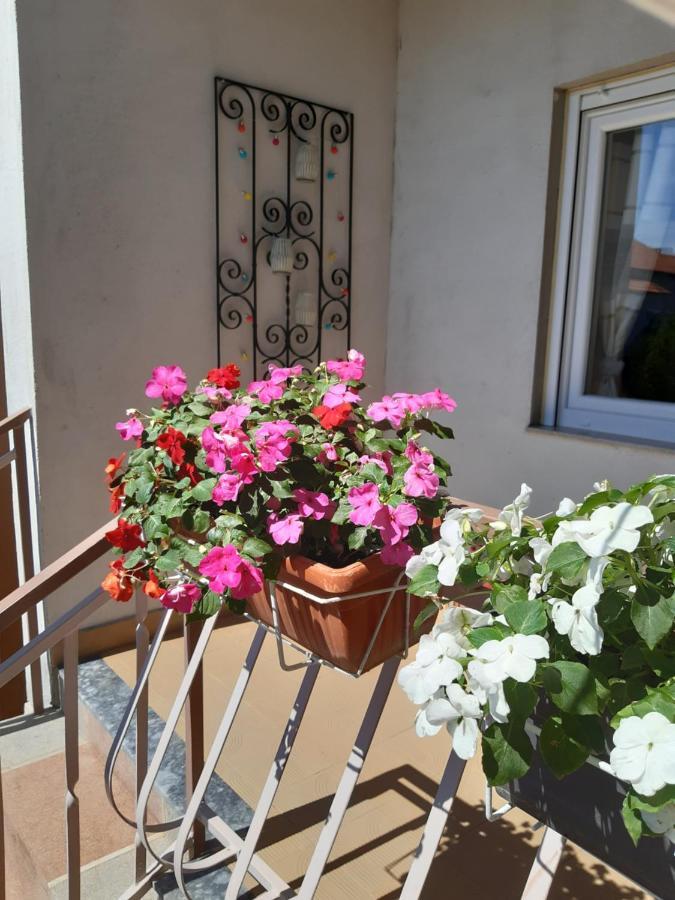 Apartment Jardin With Free Cowered Parking Zadar Bagian luar foto