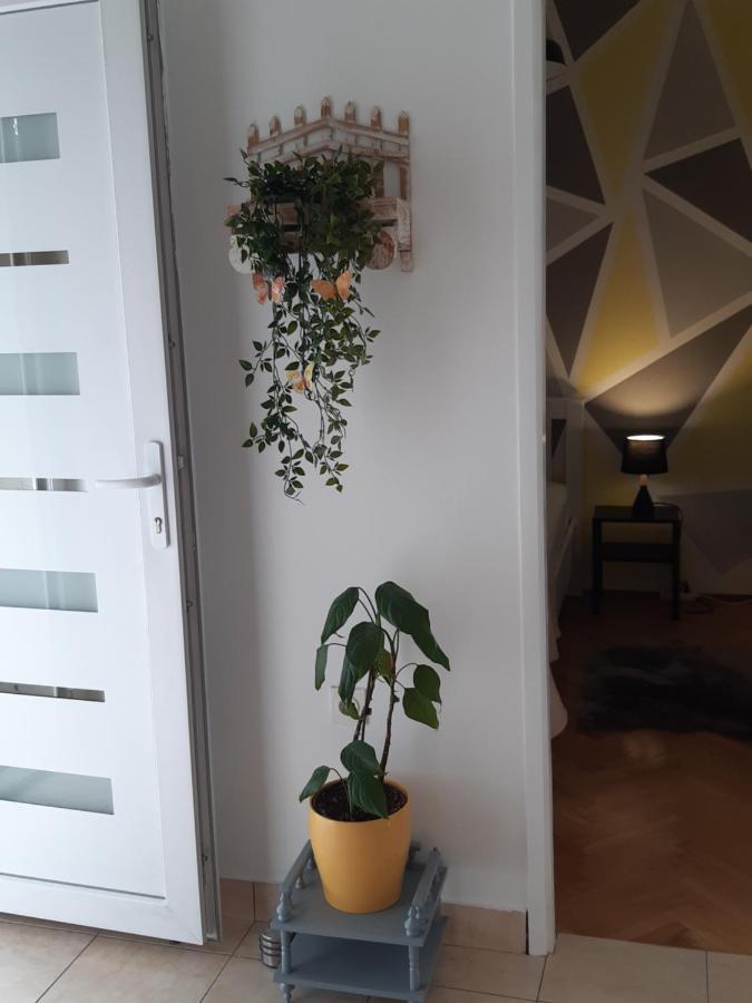 Apartment Jardin With Free Cowered Parking Zadar Bagian luar foto