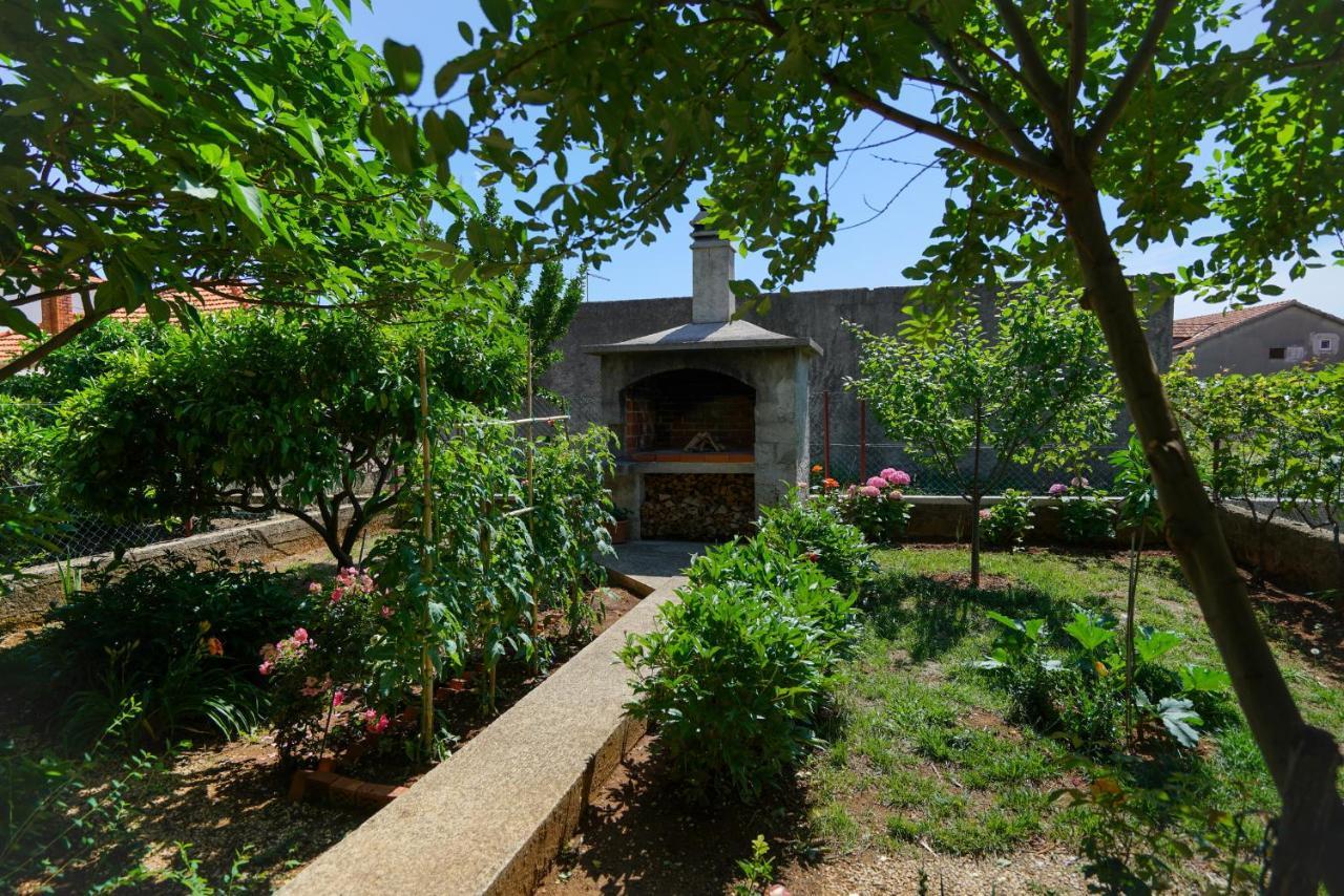 Apartment Jardin With Free Cowered Parking Zadar Bagian luar foto