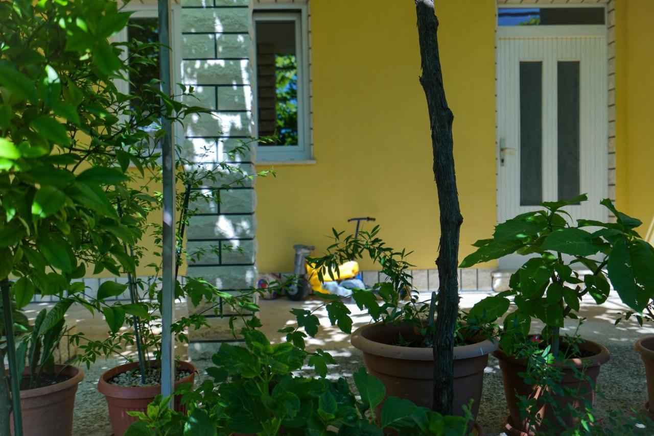Apartment Jardin With Free Cowered Parking Zadar Bagian luar foto